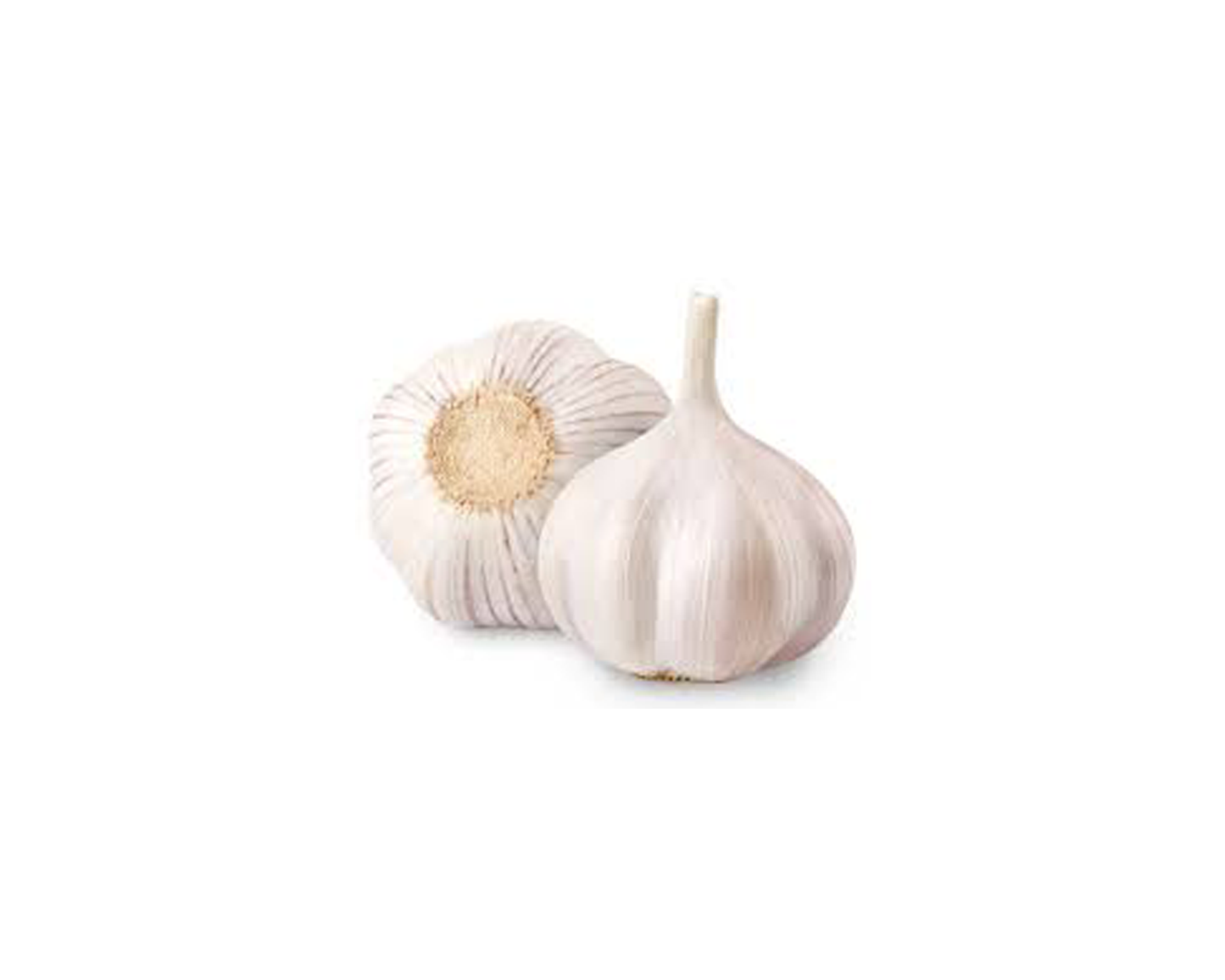 Garlic Whole