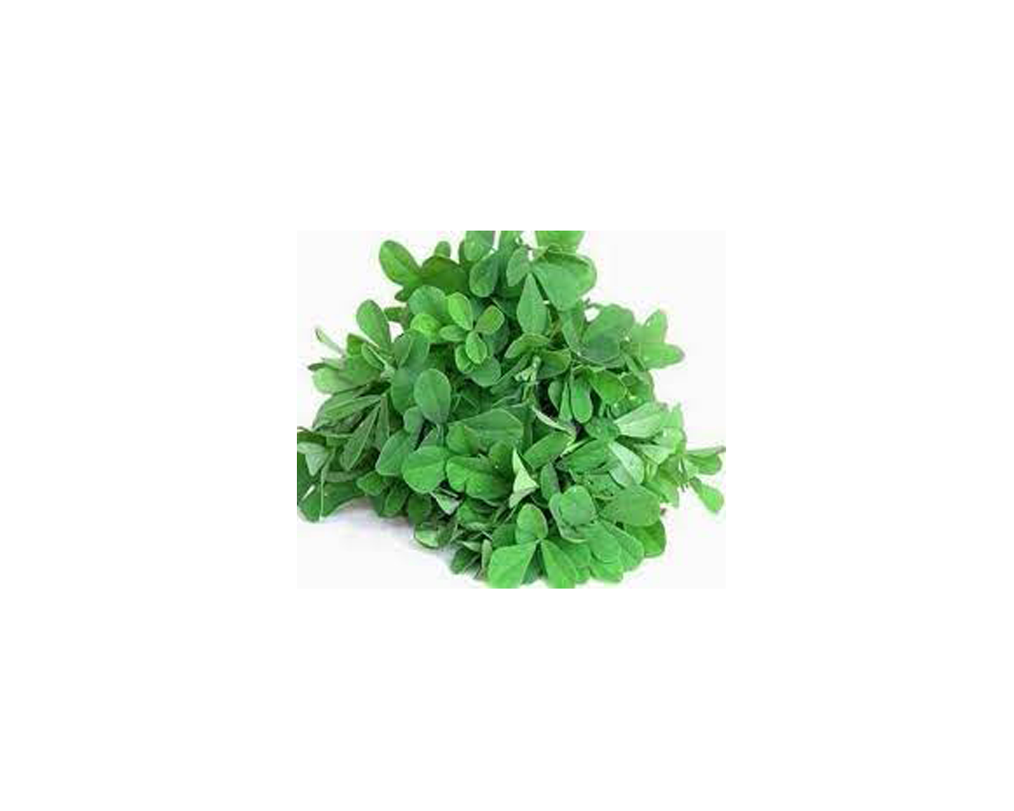 Methi Saag or Mustard Leaves