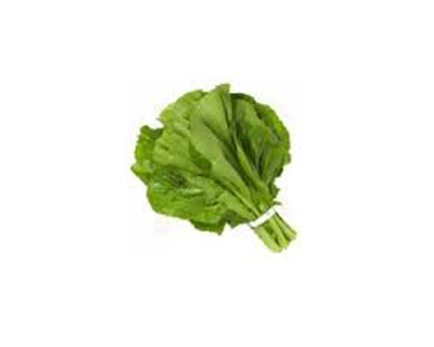 Rayo Saag or Musturd Leaves