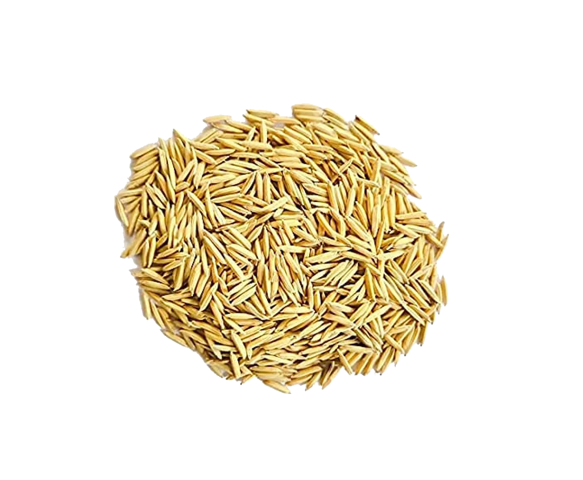 Dhan 50g