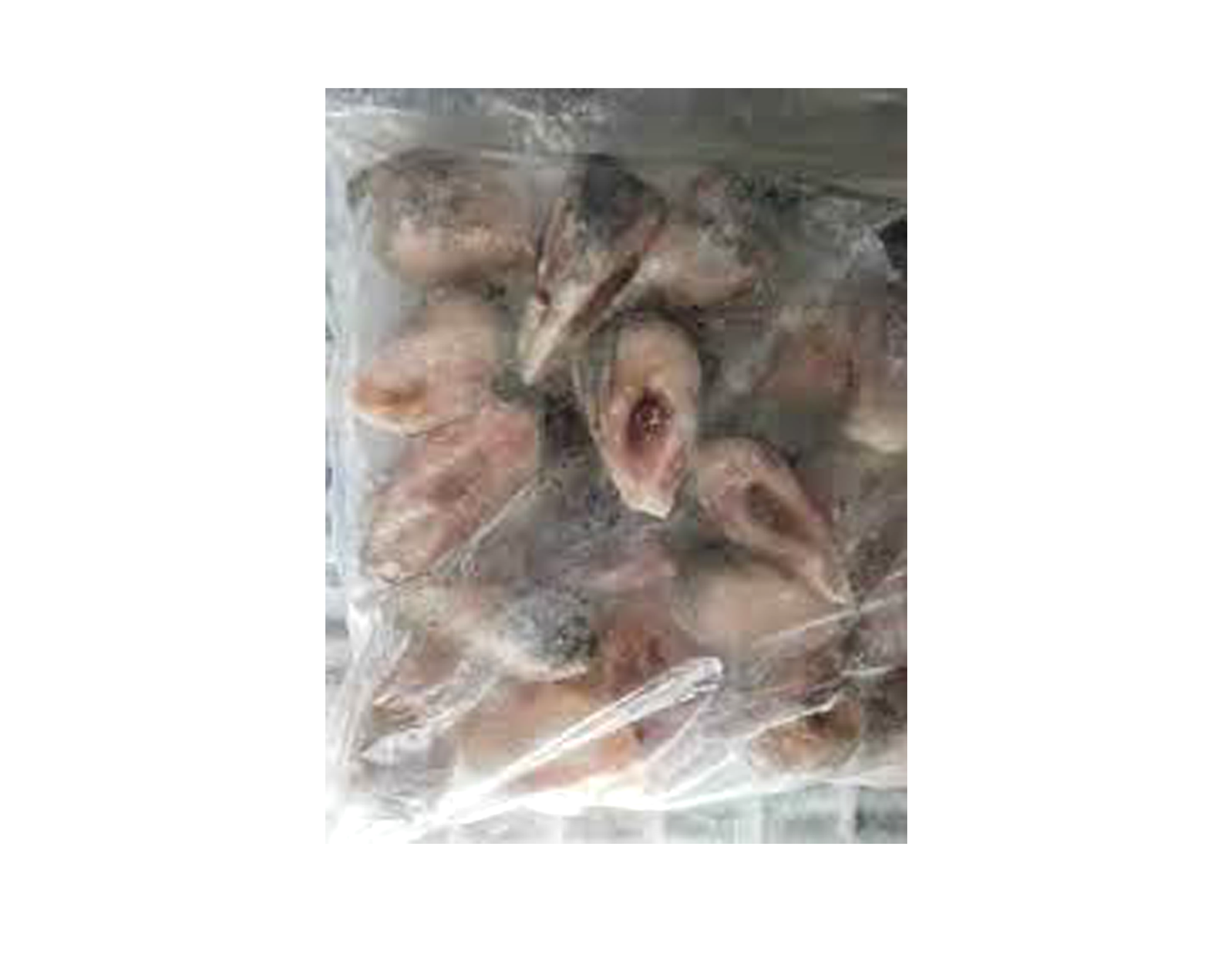 Frozen Rahu Rahu Fish 1kg – Nepali Pasal